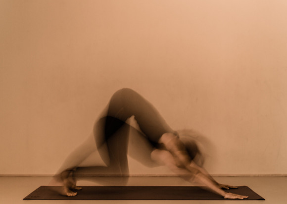 Yogi, Amsterdam, The Netherlands