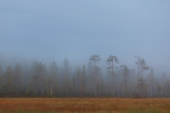 Vartius, Finland